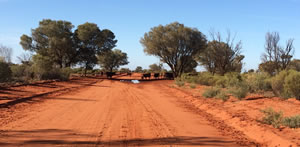 Nothern Territory Outback